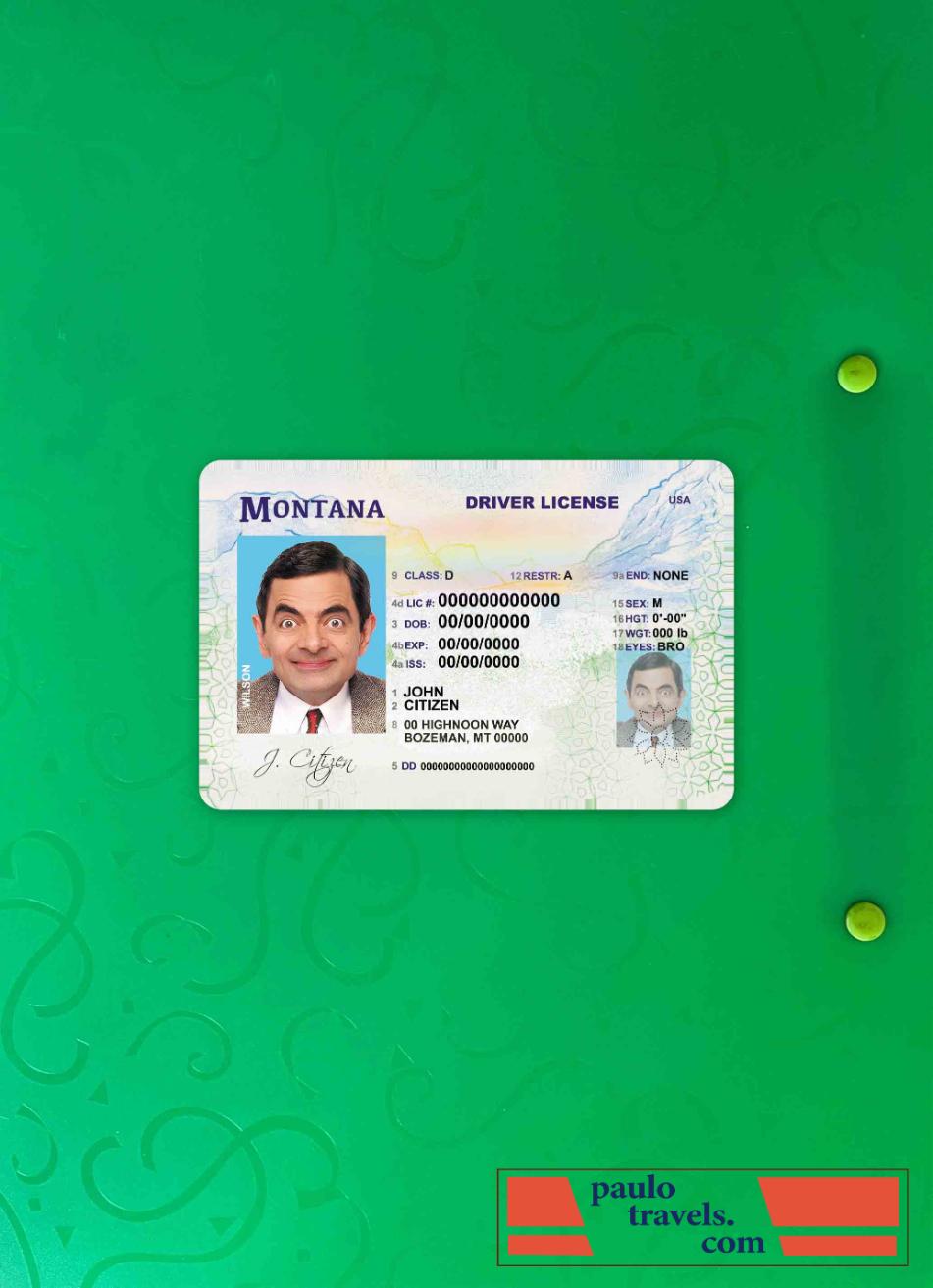 USA Montana DL photolook FRONT PSD template